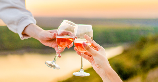 Explorez l'univers des vins
